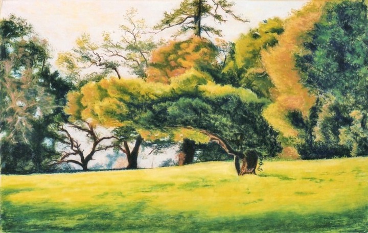 Bowing tree iweb,new