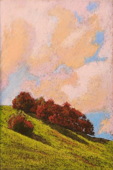 Cotati Hills 4x6