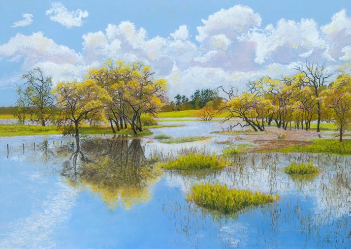 Laguna in Flood For Website