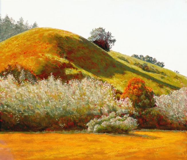 Orange hill jpg PICT1582