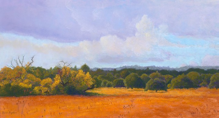 Orange Meadow for e web