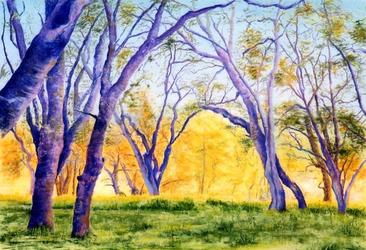 Purple trees, print, best copy