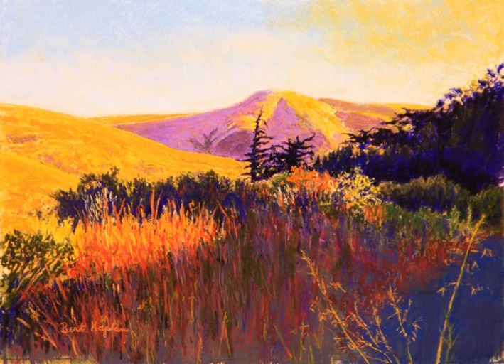 Shade & Light MG 1718