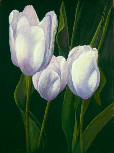 Tulips & Leaves