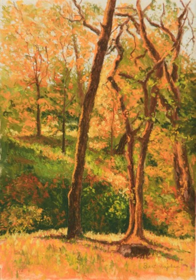 View From My Studio flat